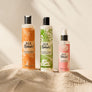 LIGNE DE PLAGE - NOUVEAU HOLA SPLASH ! TROUSSE
