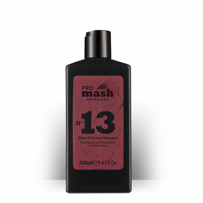 N°13  Shine&Protect Shampoo - ProMash HairCare Shampoo
